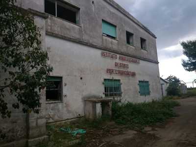 L'insegna rossa che identificava la scuola di agraria
